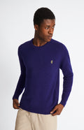 Pringle Round Neck Lion Lambswool Jumper In Royal Blue & Mineral Green on model