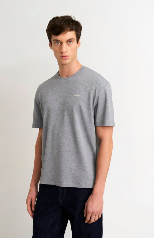 Man wearing a gray t-shirt with a small logo on a plain background