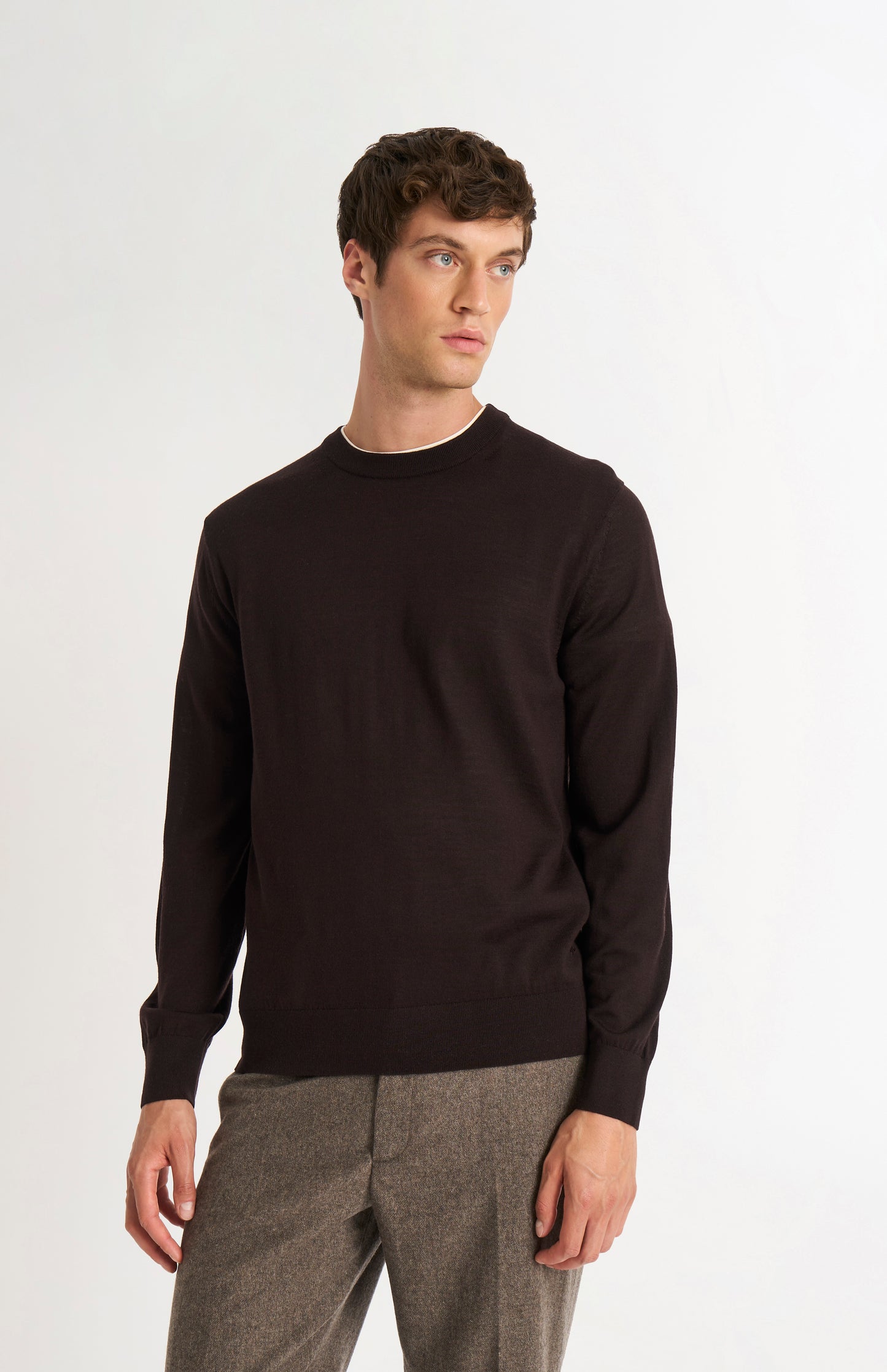Men's Crew Neck Extra Fine Merino Wool Jumper In Dark Brown
