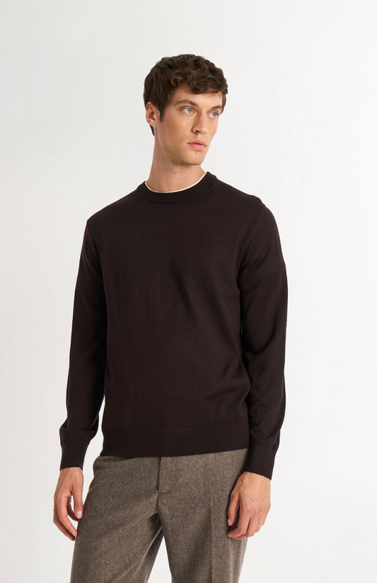 Men's Crew Neck Extra Fine Merino Wool Jumper In Dark Brown