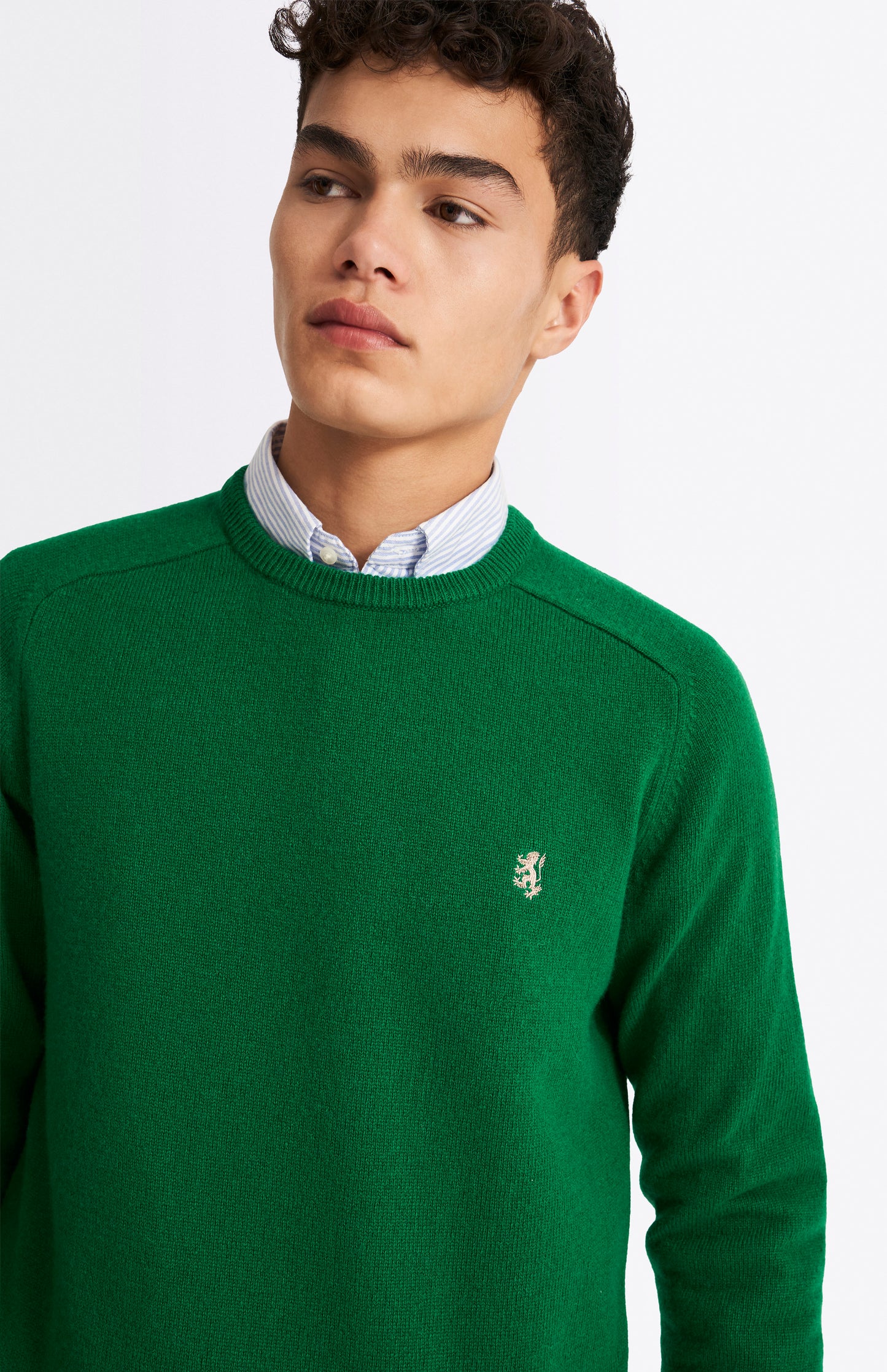 Pringle Men's Round Neck Lambswool Contrast Jumper In Dark Pine neck detail