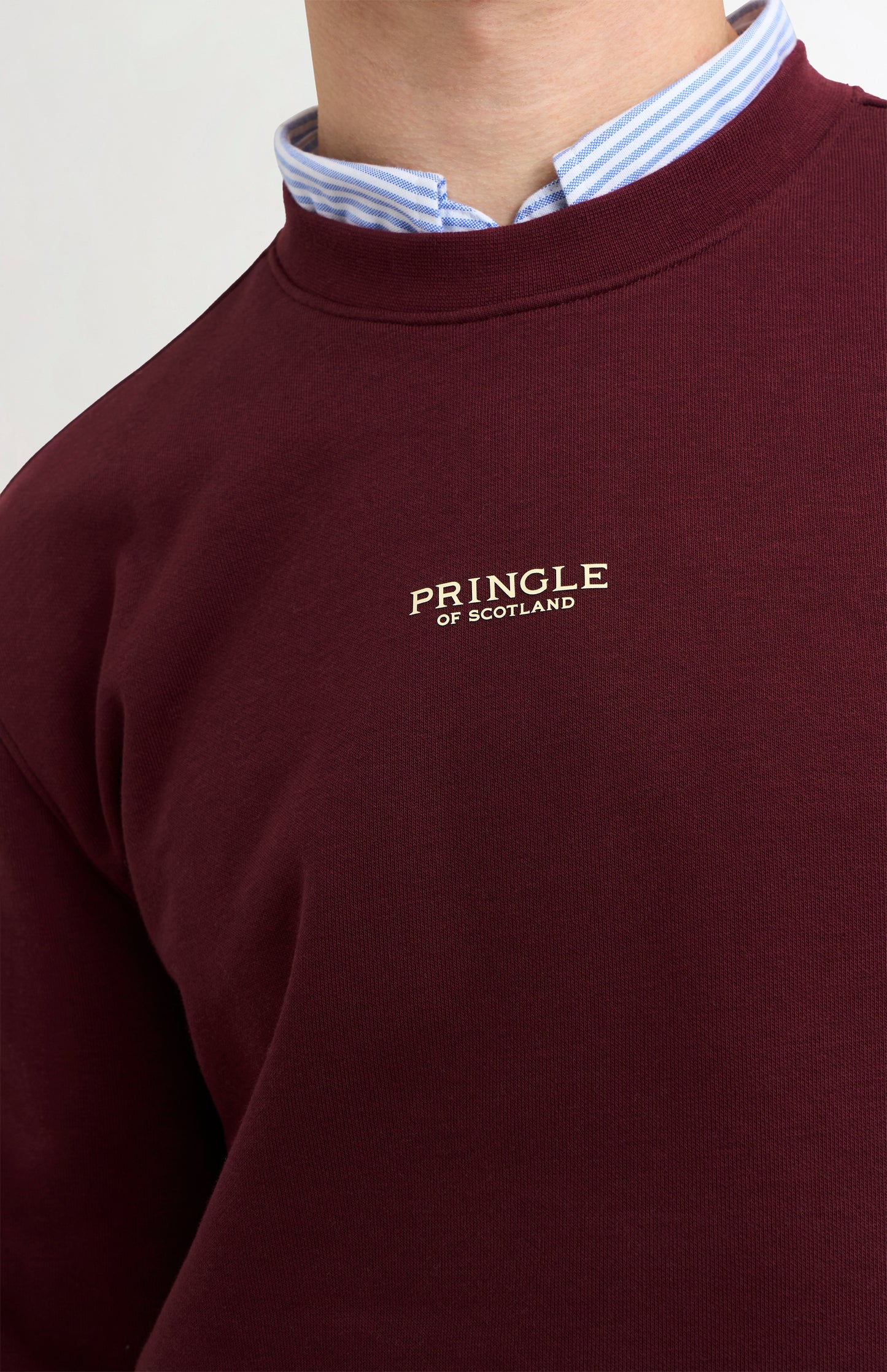 Men's Crew Neck Sweatshirt In Burgundy