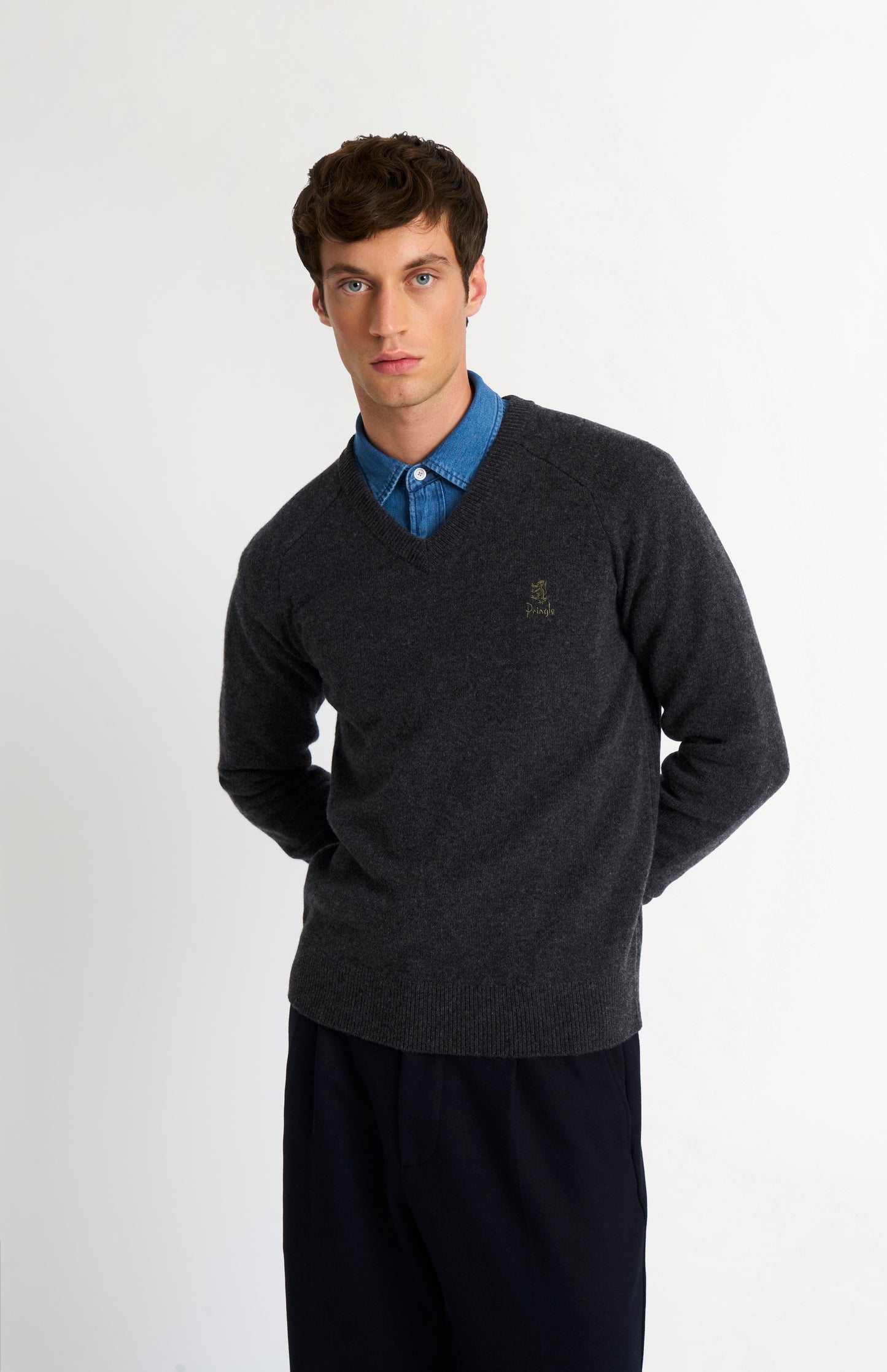 Men's Classic V-neck Supersoft Lambswool Jumper  In Charcoal
