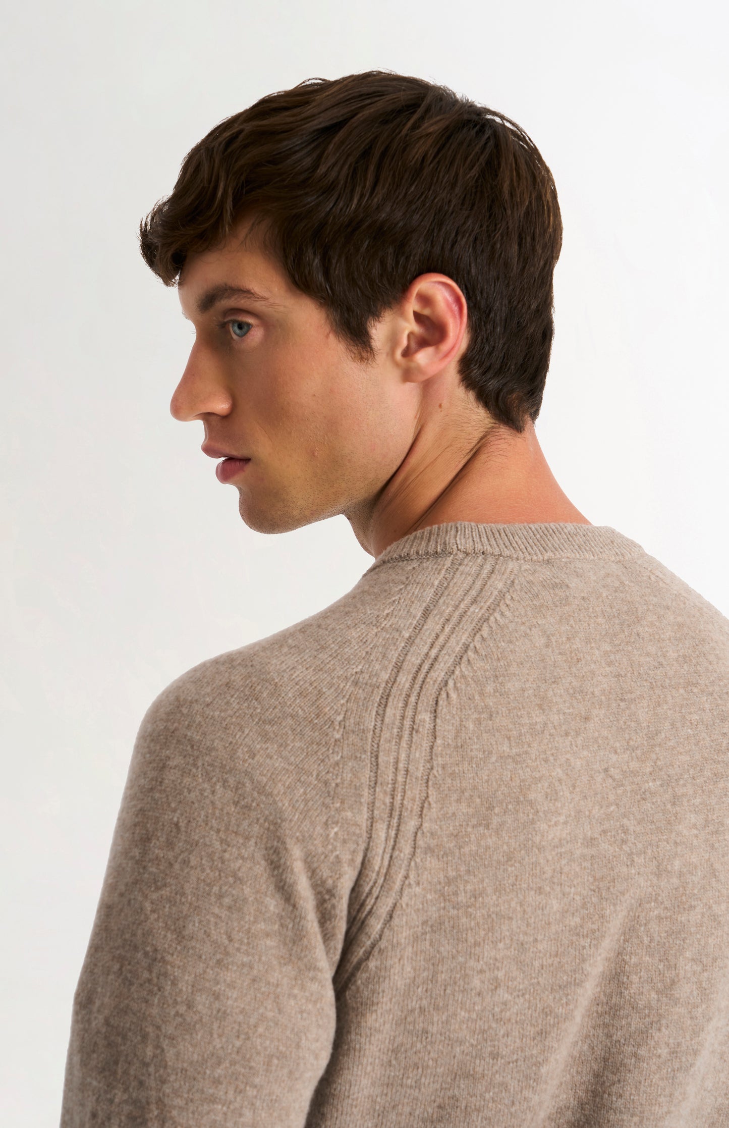 Men's Classic Crew Neck Supersoft Lambswool Jumper In Mushroom