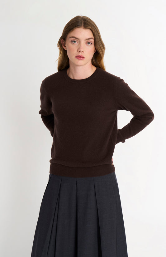 Women's Classic Crew Neck Cashmere Jumper In Dark Brown