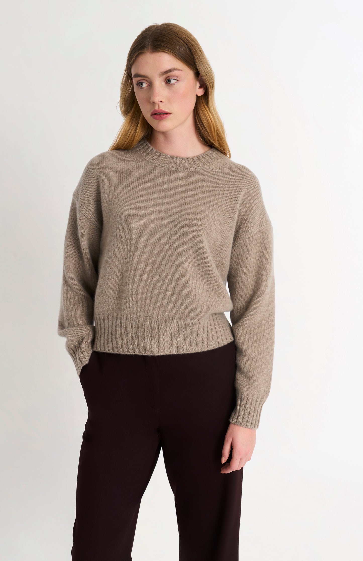Women's Crew Neck Chunky Cashmere Jumper In Mushroom Melange
